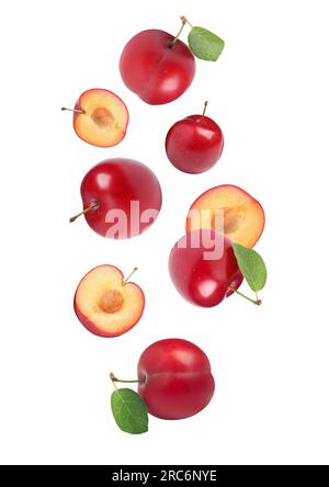 Delicious ripe cherry plums with leaves falling isolated on white Stock Photo