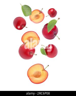 Delicious ripe cherry plums with leaves falling isolated on white Stock Photo