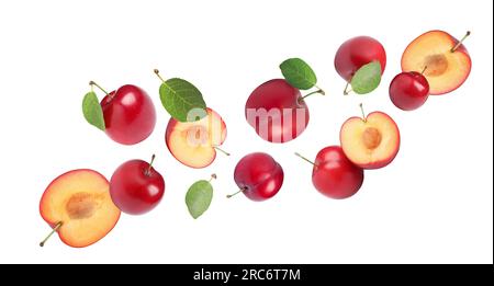 Delicious ripe cherry plums with leaves falling isolated on white Stock Photo