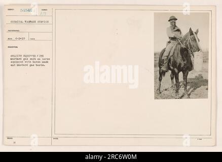 A soldier wearing a mustard gas suit is seen riding a horse that is also wearing a horse mask and mustard gas boots. This photograph was taken by the Chemical Warfare Service on April 2, 1919. The soldier is equipped with protective gear to guard against mustard gas attacks during World War One. Stock Photo