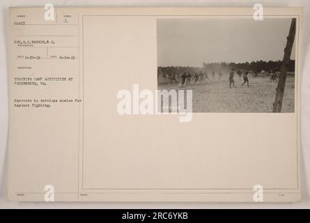 Soldiers at a training camp in Petersburg, Virginia can be seen engaging in an exercise aimed at developing their muscles for bayonet fighting. The photo was captured by Sgt. R.E. Warner on June 24, 1919 and is part of a collection documenting American military activities during World War One. Stock Photo