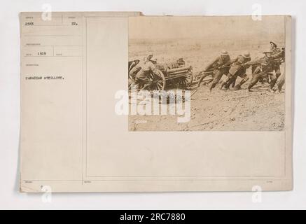 Canadian artillery soldiers conducting maneuvers during World War I. The photograph is part of the SEME 2565 photographs series from 1919. The image shows a group of Canadian artillery troops in action. The photograph is marked with the official stamp indicating it was taken by the US military and issued with the label 'CANADIAN ARTILLERY.' Stock Photo