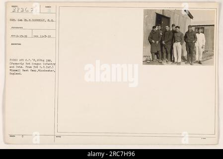 This photograph depicts a group of cooks and kitchen staff from the 162nd Infantry, formerly known as the 3rd Oregon Infantry and detachment from the 3rd D.C. Infantry. It was taken on November 7, 1918, at the Winnall Rest Camp in Winchester, England. The photographer is Sergeant 1st Class C. Donnelly. Stock Photo