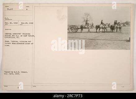 Image taken at Camp Taylor in Louisville, KY, on November 26, 1918. The image depicts guns, limbers, caissons, and horses from an elevated point of view. Passed by M.I.D. Censor on December 24, 1918. (111-SC-30416) Stock Photo