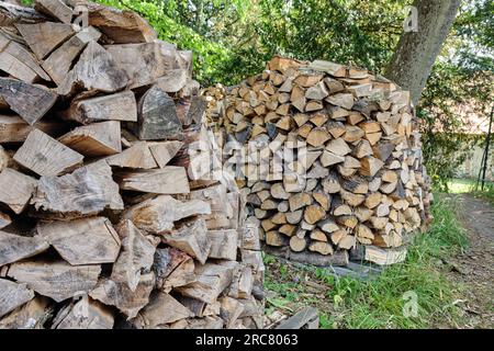 Firewood stacked in a pile in a natural summer forest. Woodpile of chopped fire wood prepared for a cold winter under trees. Arranged cut logs. Stock Photo