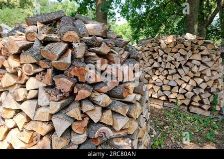 Firewood stacked in a pile in a natural summer forest. Woodpile of chopped fire wood prepared for a cold winter under trees. Arranged cut logs. Stock Photo
