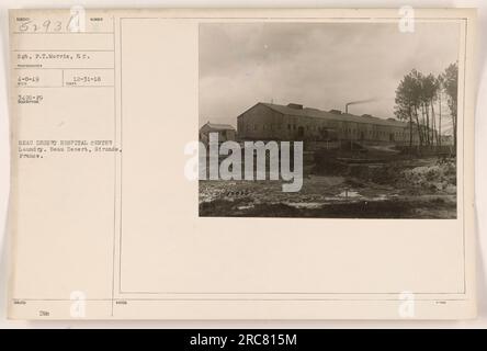 Sergeant P.T. Morris and others are seen in the Beau Desert Hospital Center laundry in Gironde, France. The photograph was taken on April 8, 1919. (Note: reference number is REC 3495-19 issued by DMC since December 31, 1918) Stock Photo