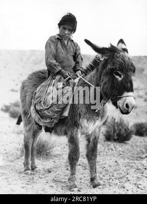 Painted Desert, Arizona:  June 5, 1935 This young Navajo girl is tending her family's flock of sheep and goats that are out grazing in the scarce vegetation. Stock Photo