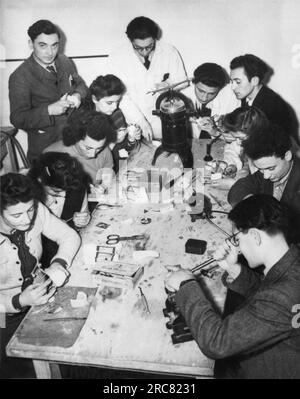 Munich, Germany:  October 16, 1947 Members of a displaced persons camp for Jews in Munich. They are taking a dentistry course, which is normally a four year period, but has been reduced to eight months since 95%%%%%%%%%%%%%%%%%%%%%%%%%%%%%%%% of the Jewish dentists were killed by the Nazis. Stock Photo