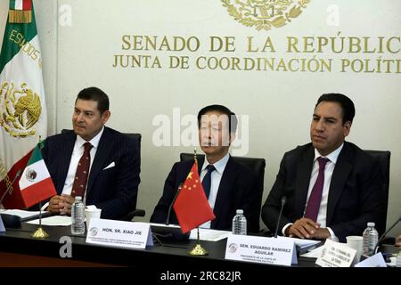 Non Exclusive: July 12, 2023, Mexico City, Mexico: The presidents of the Senate, Alejandro Armenta, and of the Political Coordination Board of the Sen Stock Photo