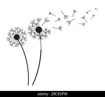 Dandelions with flying seeds on white background. Abstract dandelions flowers wind blows the seeds. Stock Vector