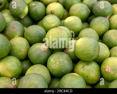 A pile of ripe green baby oranges in the supermarket Stock Photo