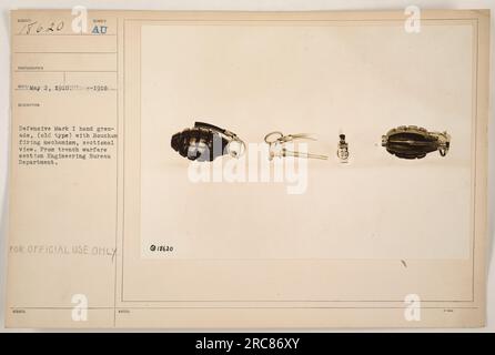 American grenade (defensive) shown in fragmented state. This photo ...