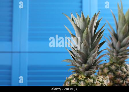 Delicious ripe pineapples against blue wall, closeup. Space for text Stock Photo