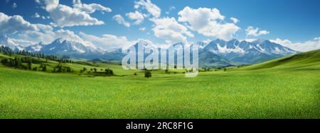 Idyllic landscape featuring a green meadow and majestic snowy mountains in the background Stock Photo