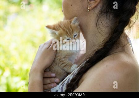 small pretty red-headed kitten on the woman chest. Care concept Stock Photo