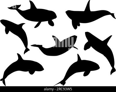 Set of Killer Shark Silhouette Stock Vector