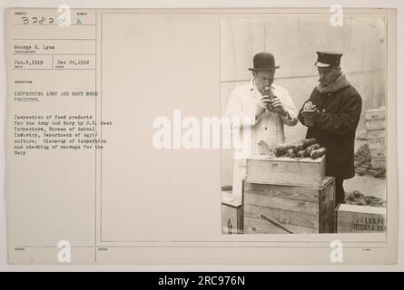 U.S. Meat inspectors from the Bureau of Animal Industry, Department of Agriculture, inspecting and checking sausage for the Navy during World War One. The photo shows a close-up view of the inspection process for army and navy food products. Stock Photo