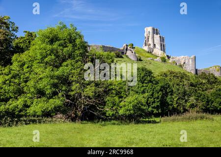 geography / travel, Great Britain, Dorset, Corfe Castle, castle in Corfe Castle, Dorset, England, ADDITIONAL-RIGHTS-CLEARANCE-INFO-NOT-AVAILABLE Stock Photo
