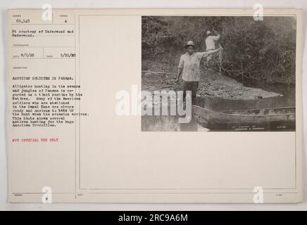 American soldiers in Panama participate in alligator hunting, which the natives consider a timid pastime. It is a popular activity for the soldiers stationed in the Canal Zone. This photo captures several natives hunting American crocodiles. The photo is courtesy of Underwood and Underwood, with the photographer recognized on 8/2/20. Issued on 5/21/20 for official use only. Noted by 69140 on 3-10. Stock Photo