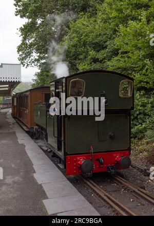 Tallyllyn Railway narrow gauge steam locomotive Tom Rolt heads a train at Abergwynolwyn Station Stock Photo