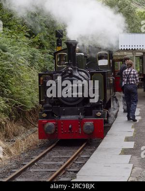 Tallyllyn Railway narrow gauge steam locomotive Tom Rolt heads a train at Abergwynolwyn Station Stock Photo