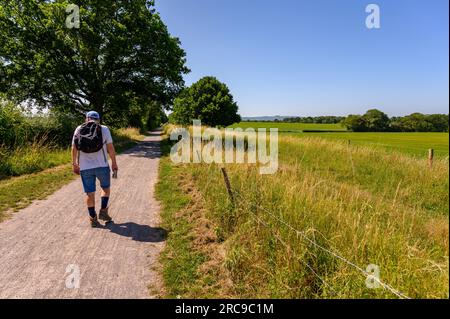 A middle-aged male walker on the Downs Link path, a disused railway line. West Grinstead, West Sussex, England. Stock Photo