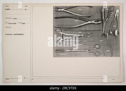 Photograph of surgical instruments used during World War One. The image ...