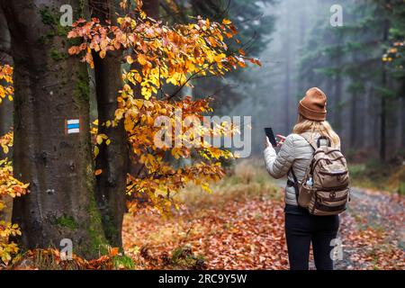Woman tourist with smart phone using GPS and mobile app for navigation in forest trail. Traveler using phone in nature Stock Photo