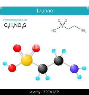 Taurine molecule. molecular chemical structural formula and model of non-proteinogenic amino sulfonic acid. Vector illustration Stock Vector