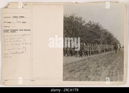 German prisoners of war captured near Belleau Woods in France during World War One in 1918. The photo was taken by a Signal Corps photographer and shows the prisoners being escorted by American soldiers from the 4th Brigade. Stock Photo