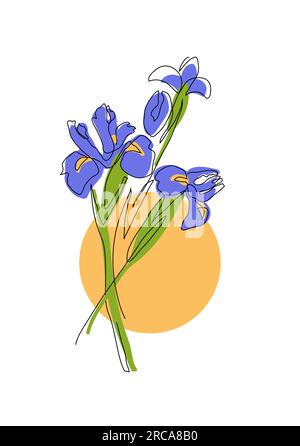 Iris flowers vector color illustration. One continuous line art drawing of iris flowers Stock Vector