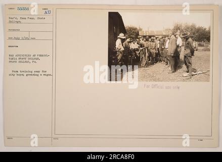 Soldiers in training at Pennsylvania State College participate in a farm training camp for city boys. In this photograph, they can be seen greasing a wagon as part of their activities. The image is labeled with the subject code 55351 and was taken on July 1, 1918. It is a part of a collection of photographs documenting American military activities during World War I. Stock Photo