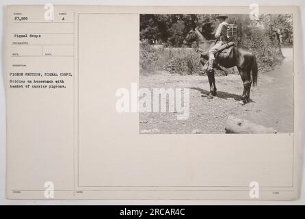 Soldier from the Pigeon Section of the Signal Corps is seen on horseback with a basket of carrier pigeons. The soldier is holding the basket securely, ready to release the pigeons when needed. This photograph was taken during World War One, and it was labeled as MURDER 67,588 in the Signal Corps' records. A detailed description of the scene was given, which included the identification number of the photograph (94675-8). Stock Photo