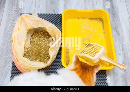 Used shop cat litter