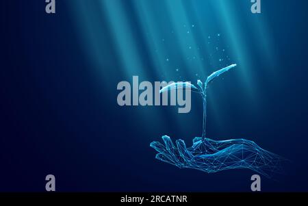 Hand Holding Seedling Plant Grows Under the Sun Rays Stock Vector