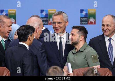 President of Ukraine Volodymir Zelenskyy (middle)talks to President of Turkiye Recep Erdogan, Prime Minister of the UK Rishi Sunak, President of the USA Joe Biden, NATO Secretary General Jens Stoltenberg, and NATO DSG Mircea Geoan? at the meeting of the NATO -Ukraine Council at the level of heads of state and government during the high level NATO summit in Litexpo Conference Centre in Vilnius, Lithuania on July 12, 2023. The summit agenda covers Ukraine's bid to join the organisation, the accession process of Sweden, boosting arms stockpiles and reviewing defence plans. (Photo by Dominika Zarz Stock Photo