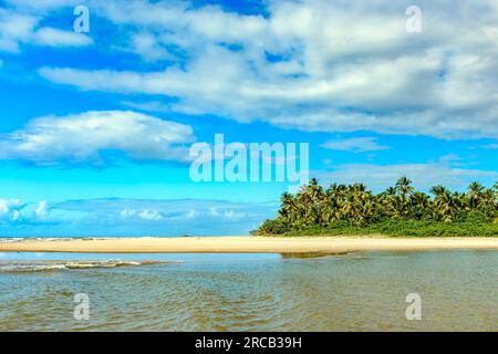 Beautiful Sargi beach with its coconut trees in the city of Serra Grande on the coast of Bahia Stock Photo
