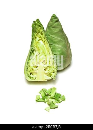 Pointed cabbage (Brassica oleracea) Stock Photo