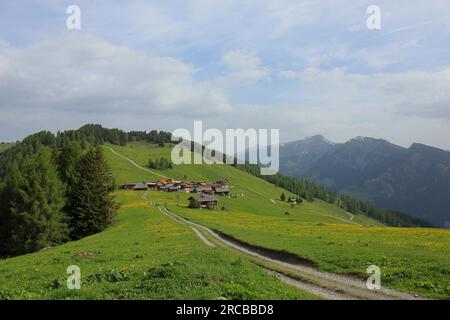 Idyllic Swiss village Obermutten in early summer Stock Photo