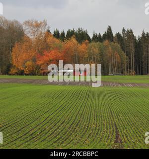 October Rural Sceans Rural October scene in Mellerud, Sweden Stock Photo - Alamy