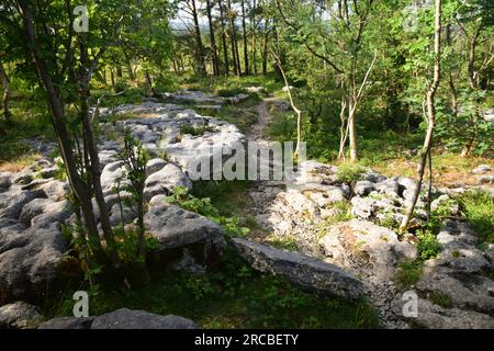 Clints and Grikes at Hutton Roof Carboniferous Limestone pavement. Stock Photo