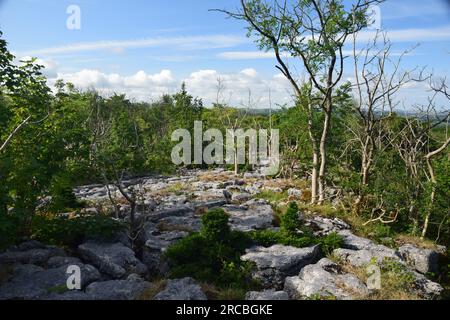 Clints and Grikes at Hutton Roof Carboniferous Limestone pavement. Stock Photo