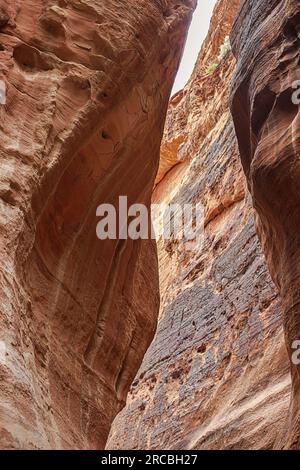High canyon walls of the Siq in Petra Archaeological Park, Jordan Stock ...