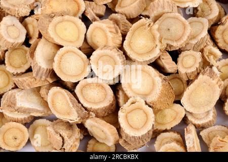 Membrane milkvetch root (Astragalus membranaceus) (Astragali Radix), Mongolian milkvetch root Stock Photo