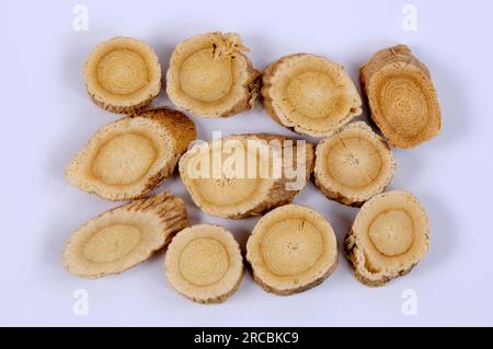 Membrane milkvetch root (Astragalus membranaceus) (Astragali Radix), Mongolian milkvetch root, excised, object Stock Photo