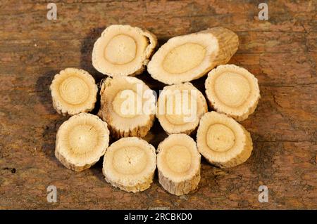 Membrane milkvetch root (Astragalus membranaceus) (Astragali Radix), Mongolian milkvetch root Stock Photo