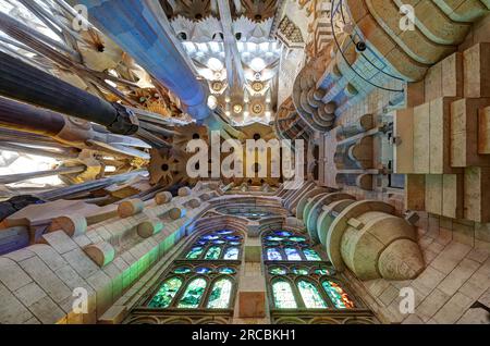 Barcelona, Spain, June 6 2023, internal detail of the Sacred Family cathedral under contstruction, perspective view towards the ceiling Stock Photo