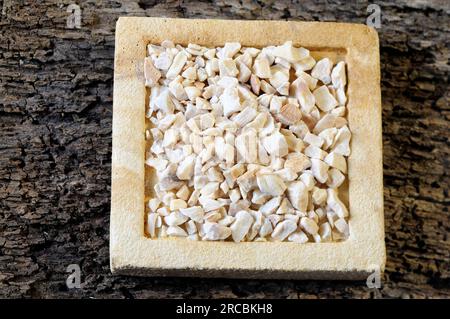 White peony root (Paeoniae Radix Alba) Stock Photo