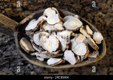 Red peony root (Paeoniae Radix Rubra) Stock Photo